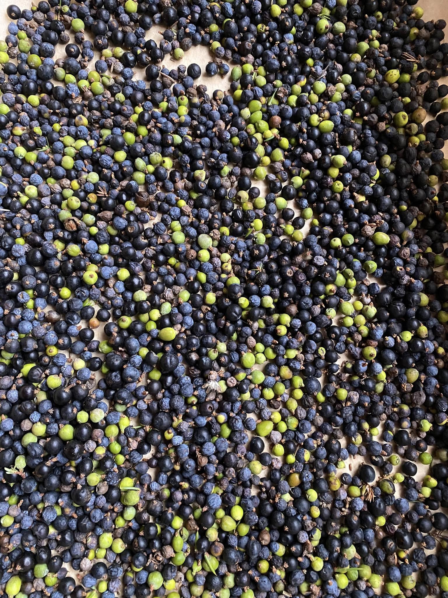 Kadakamarjad 30g - Image 6