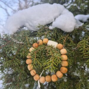 Kadaka käevõru karuluuga