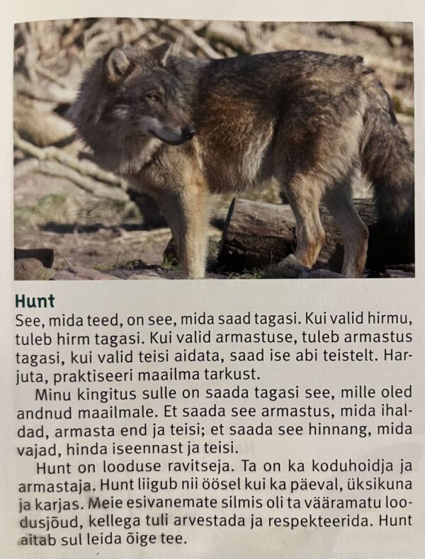 Kadaka käevõru hundiluuga - Image 5