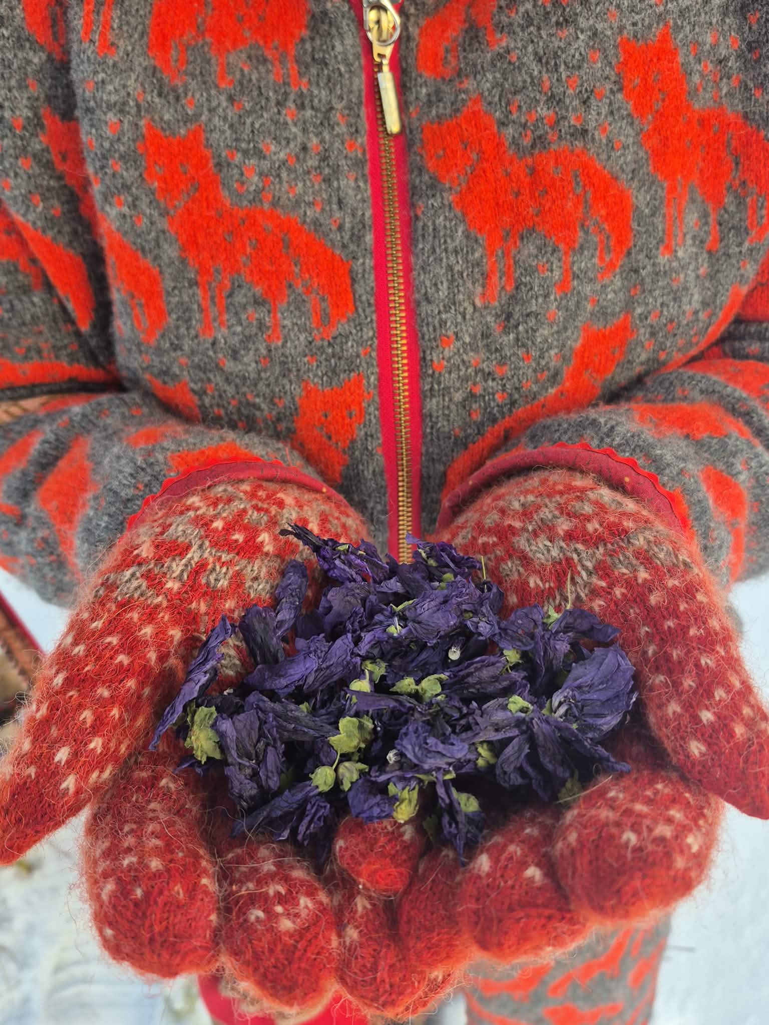 Mets-kassinaeri õietee 10g - Image 2