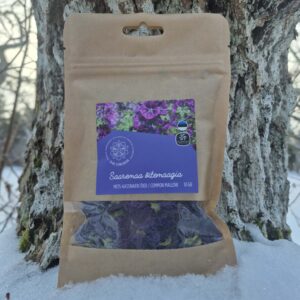 Mets-kassinaeri õietee 10g