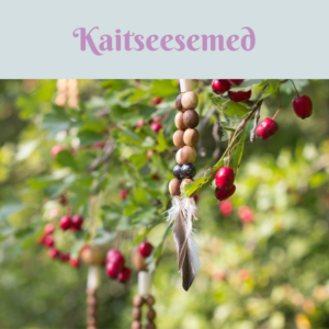 Kaitseesemed