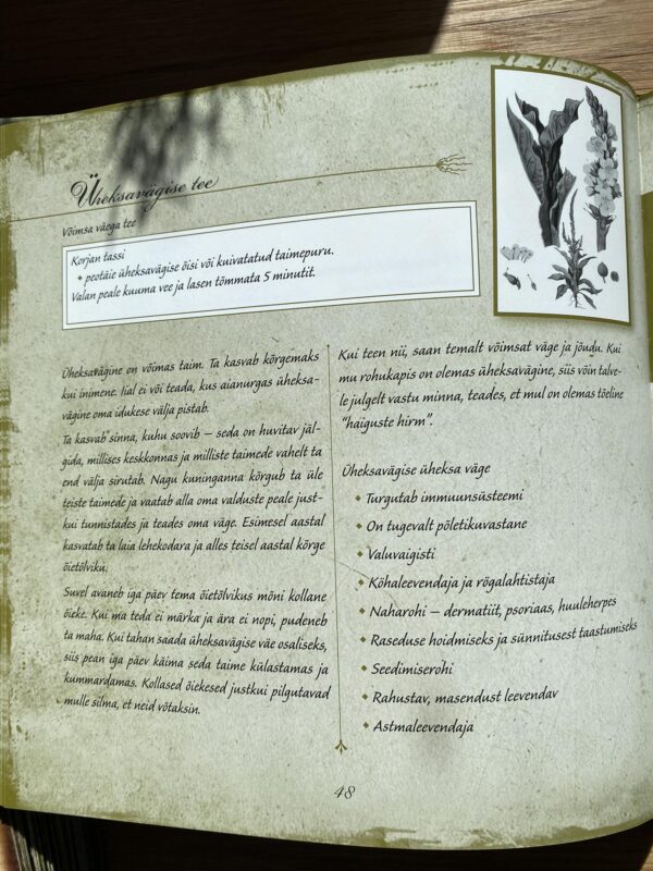 Hingeteed, Irje Karjus - Image 4