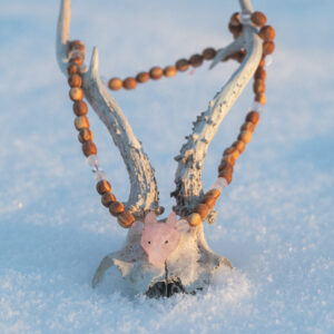 Pihlaka väekee ARMASTUS