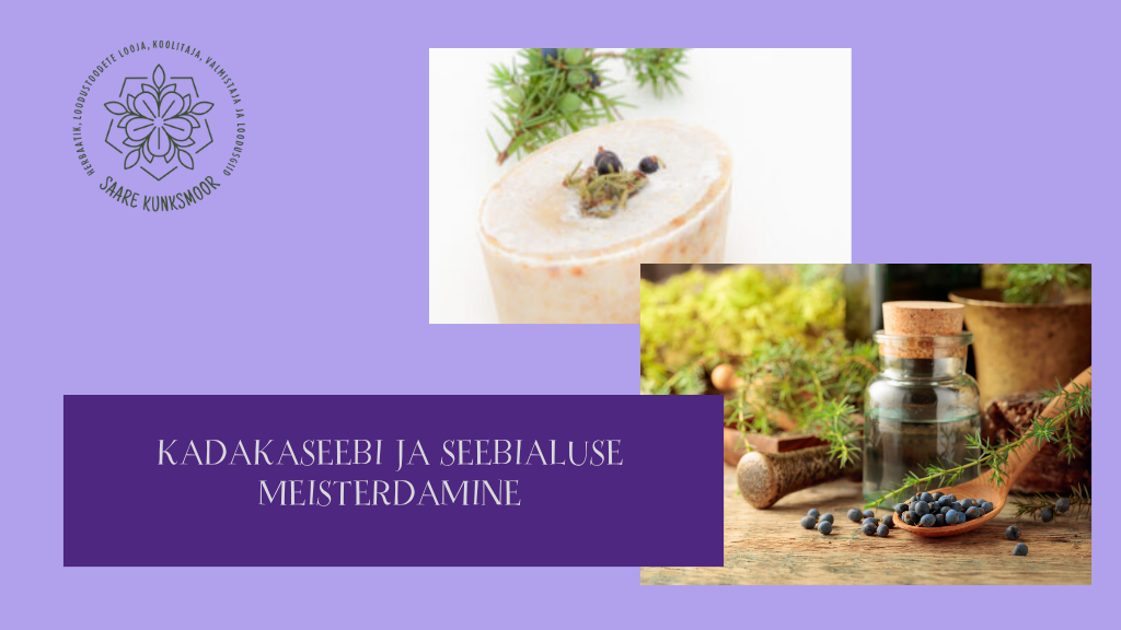 SAAREMAA KADAKASEEBI JA SEEBIALUSE MEISTERDAMINE