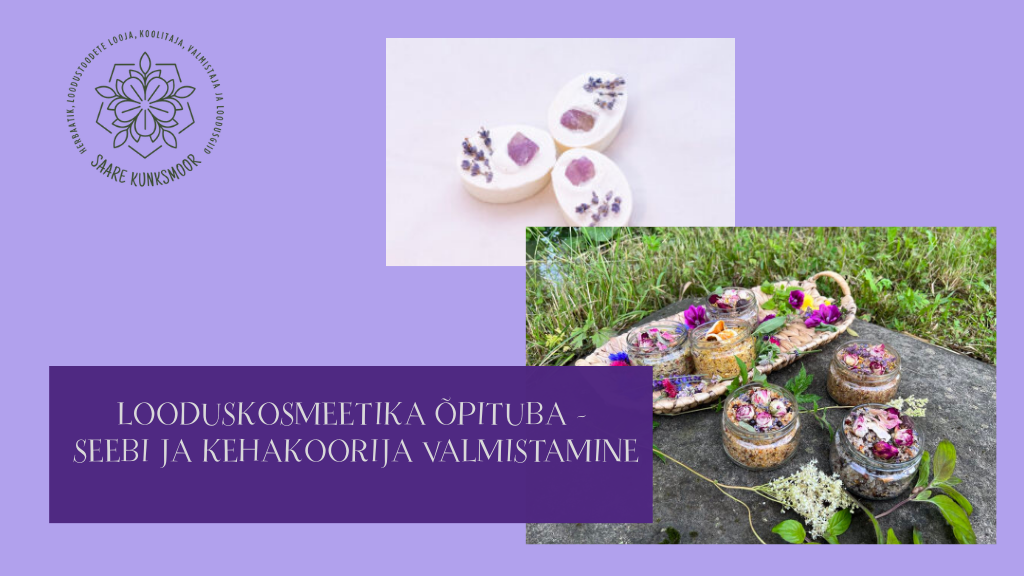 SEEBI JA KEHAKOORIJA ÕPITUBA (1)