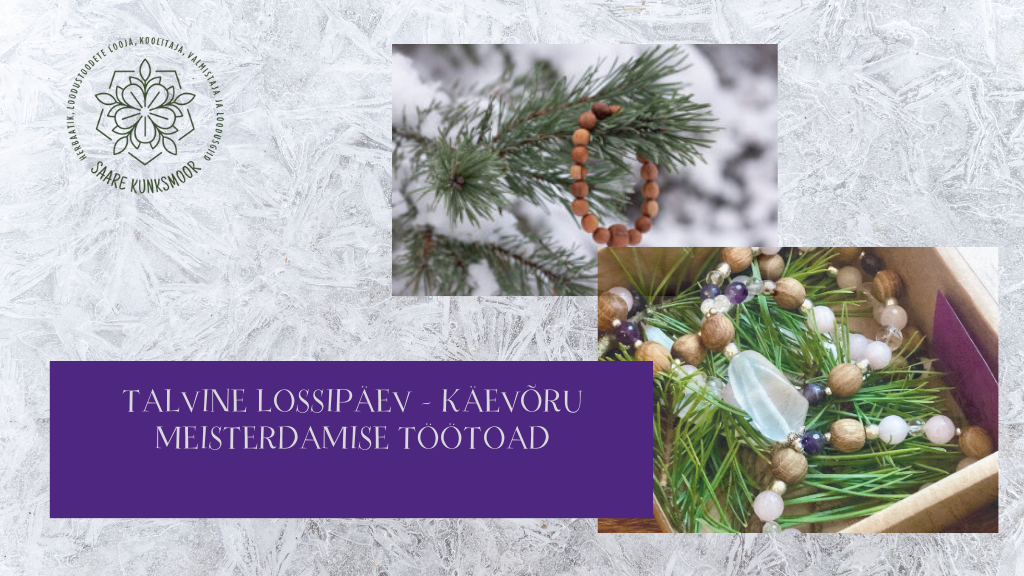 talvine Lossipäev (1)